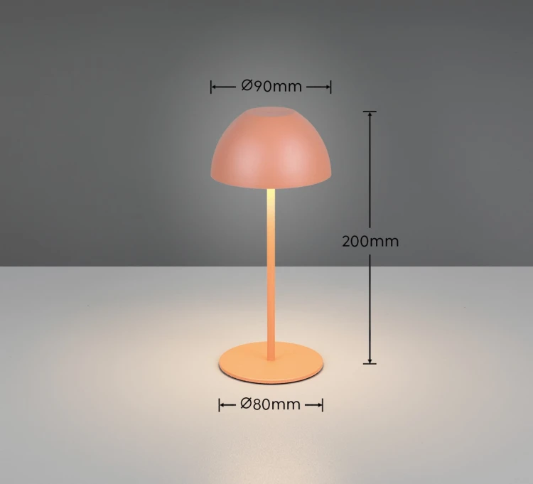 R55601140_d.jpg
