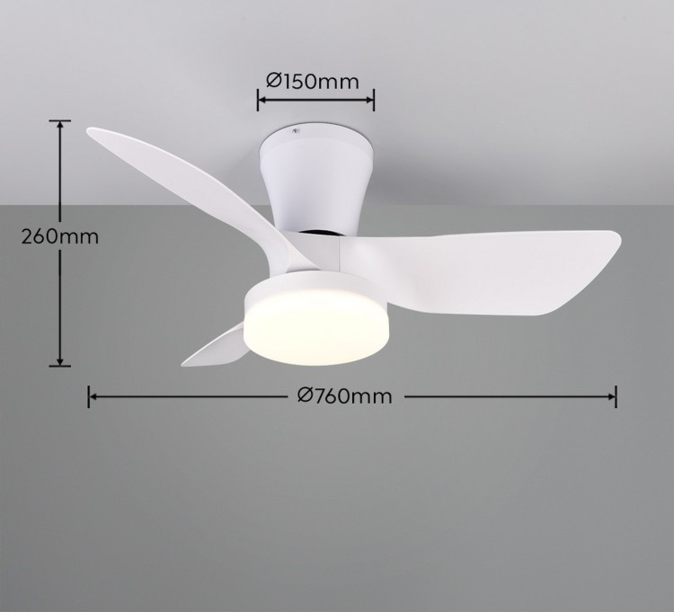 R64412131_d.jpg