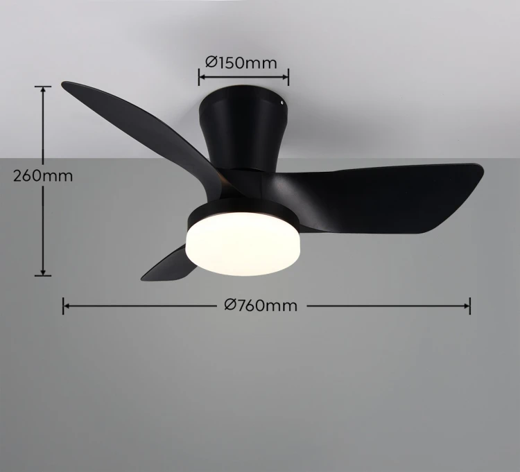 R64412132_d.jpg