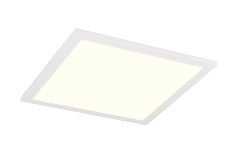 r64601131.jpg