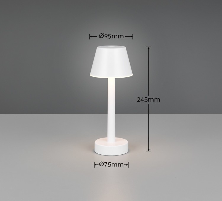 R54991131_d.jpg