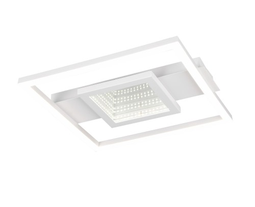 r64801931.jpg