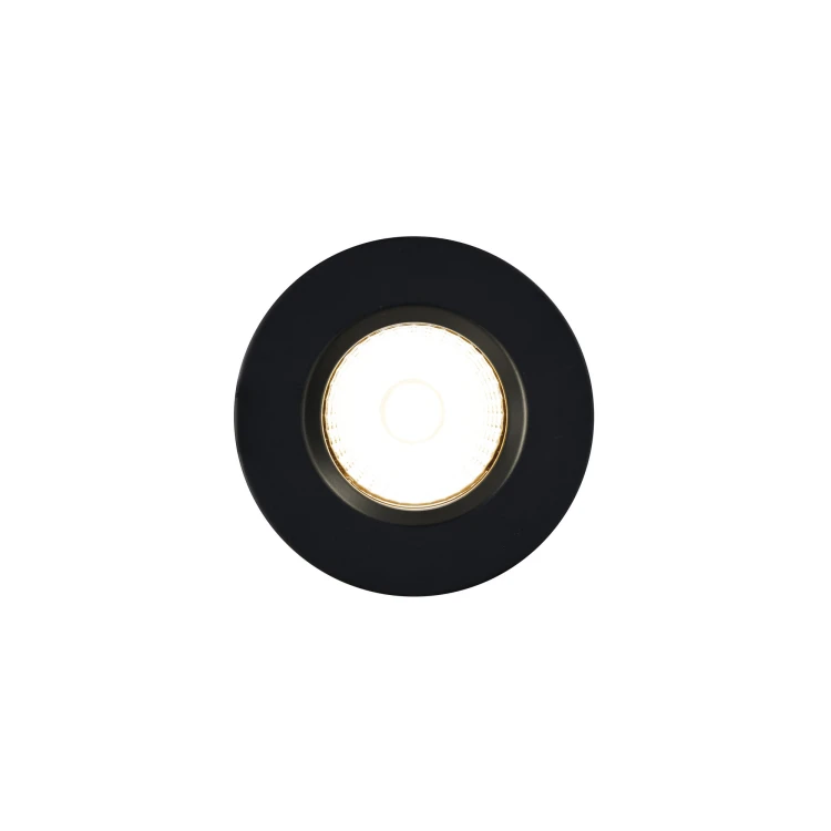 Fremont%202310036003_2.jpg