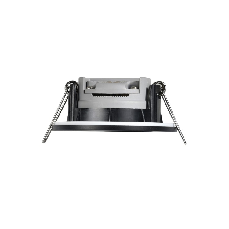 Leonis%202310016003_4.jpg
