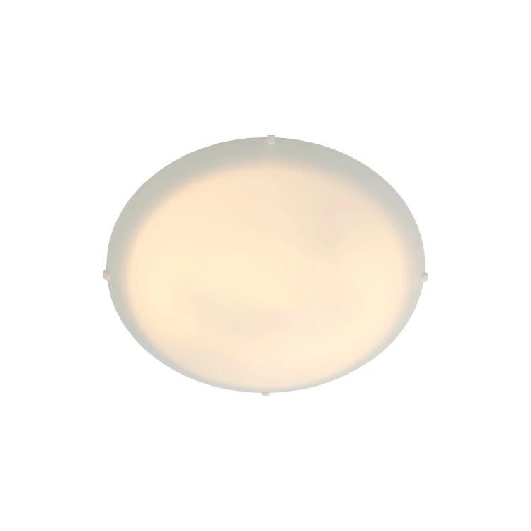 Standard%20Maxi%202410256001_1.jpg