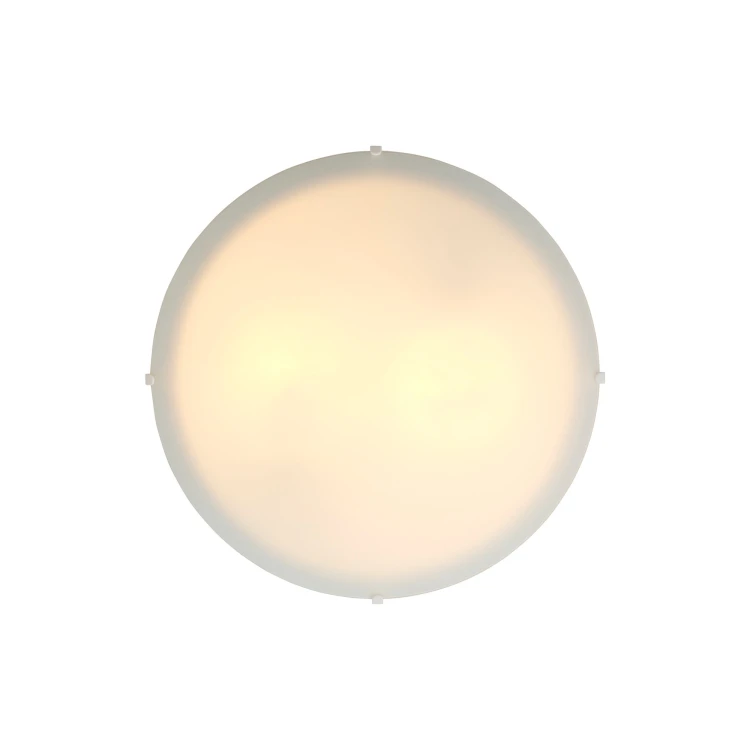 Standard%20Maxi%202410256001_2.jpg