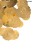 e2041cabf44e50f9cdb9f4cfea8c7365.jpg