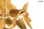f0e79bbb4621dd5960f6306394a2127c.jpg