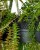 781b491dce3adac8a85bbaddd33927be.jpg