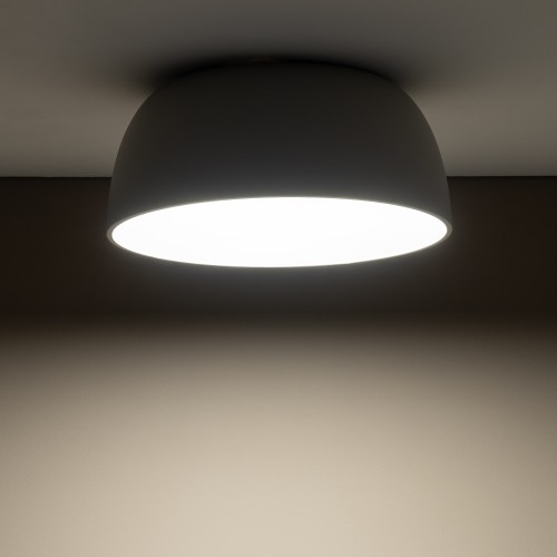 e03bb8faa973f4116bb2d4fb62fbc635.jpg